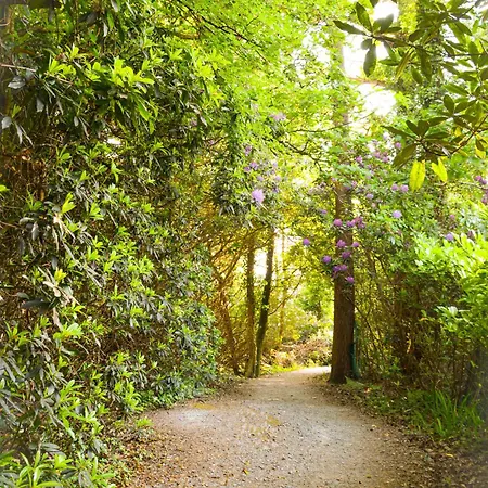 Parknasilla & 4* Sneem