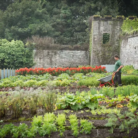 Parknasilla & سنيم