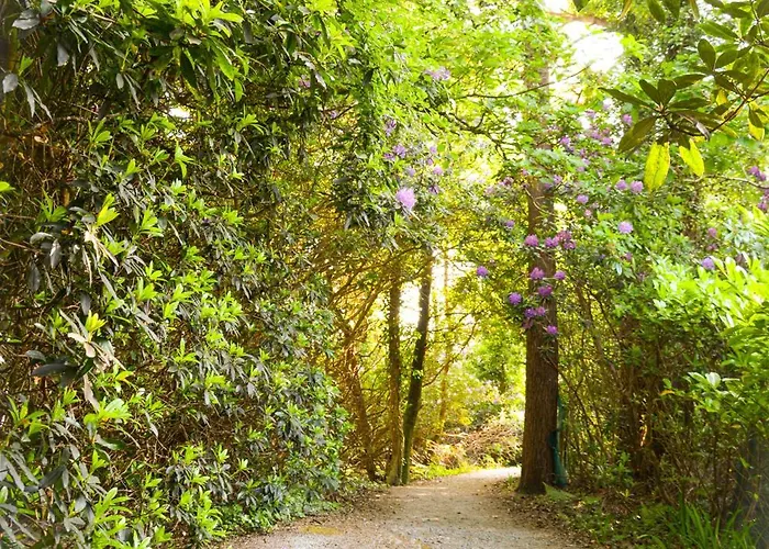 Parknasilla & 4* Сним