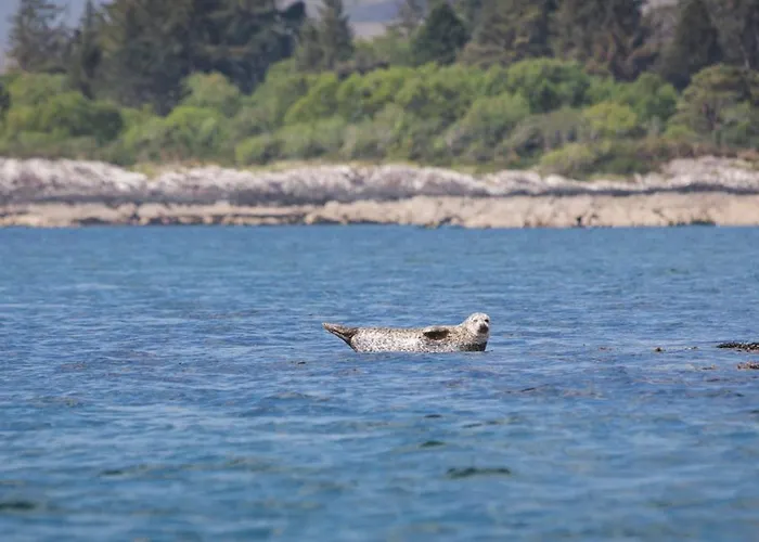 Отель Parknasilla & 4*