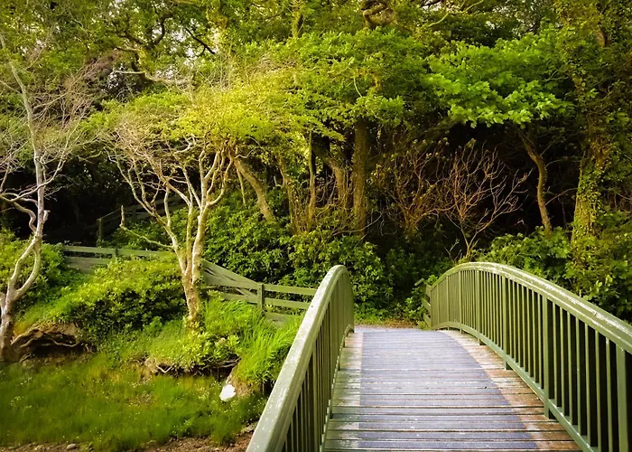 Parknasilla & Сним